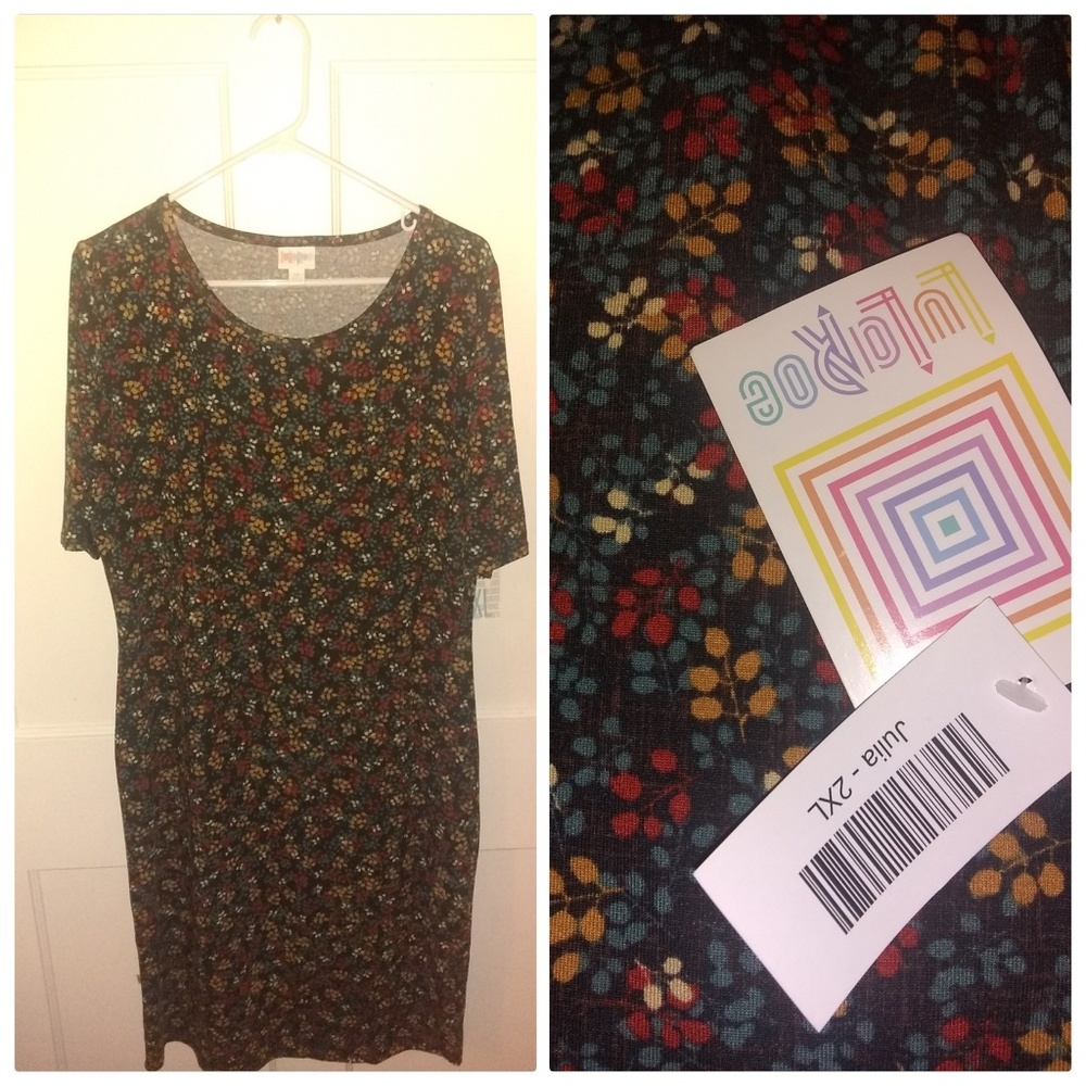 Lularoe 2x Julia